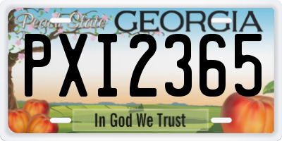 GA license plate PXI2365
