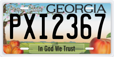 GA license plate PXI2367