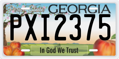GA license plate PXI2375