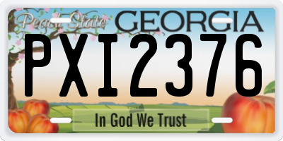 GA license plate PXI2376