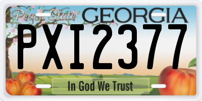 GA license plate PXI2377