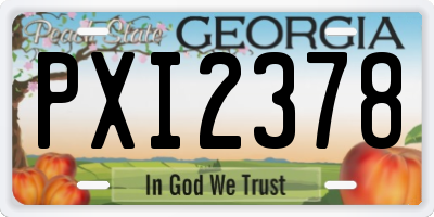 GA license plate PXI2378