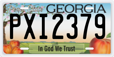 GA license plate PXI2379