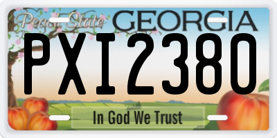 GA license plate PXI2380