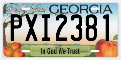 GA license plate PXI2381