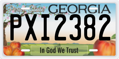 GA license plate PXI2382
