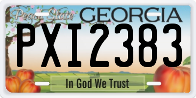 GA license plate PXI2383