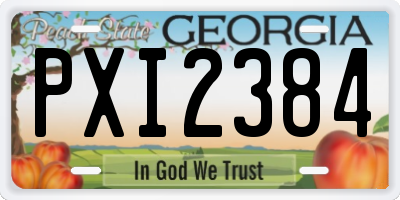 GA license plate PXI2384