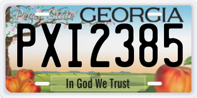 GA license plate PXI2385