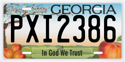 GA license plate PXI2386