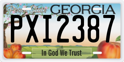 GA license plate PXI2387
