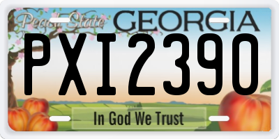 GA license plate PXI2390