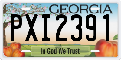 GA license plate PXI2391