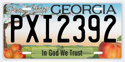 GA license plate PXI2392