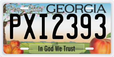 GA license plate PXI2393