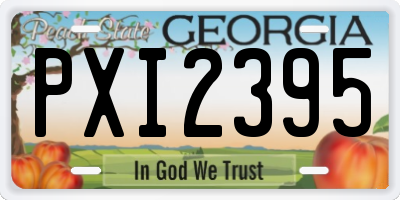 GA license plate PXI2395