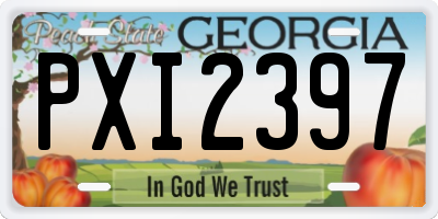 GA license plate PXI2397