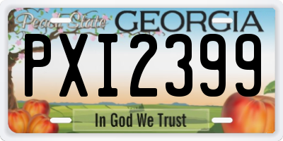GA license plate PXI2399