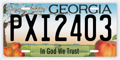 GA license plate PXI2403