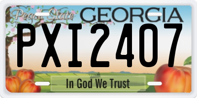 GA license plate PXI2407