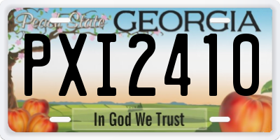GA license plate PXI2410