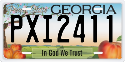 GA license plate PXI2411