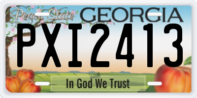 GA license plate PXI2413