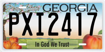 GA license plate PXI2417