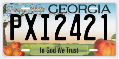 GA license plate PXI2421