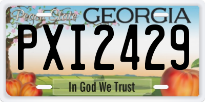 GA license plate PXI2429