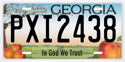 GA license plate PXI2438