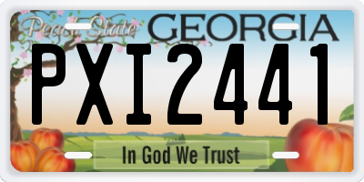 GA license plate PXI2441