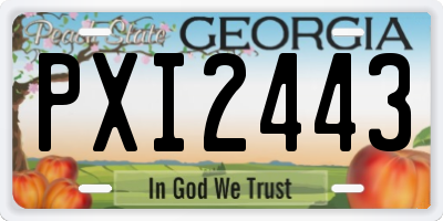 GA license plate PXI2443