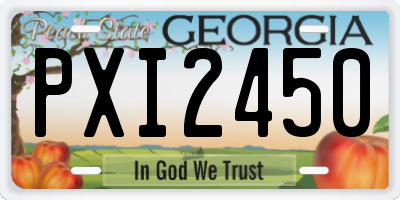 GA license plate PXI2450