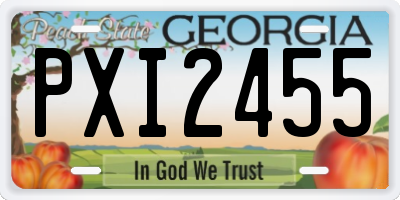 GA license plate PXI2455