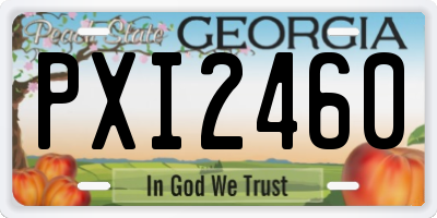 GA license plate PXI2460
