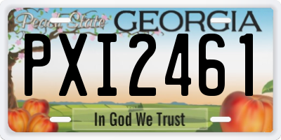 GA license plate PXI2461