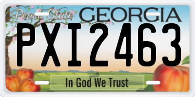 GA license plate PXI2463