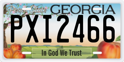 GA license plate PXI2466