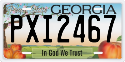 GA license plate PXI2467