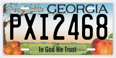 GA license plate PXI2468