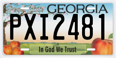 GA license plate PXI2481