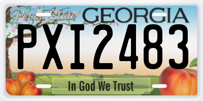 GA license plate PXI2483