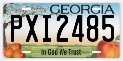 GA license plate PXI2485
