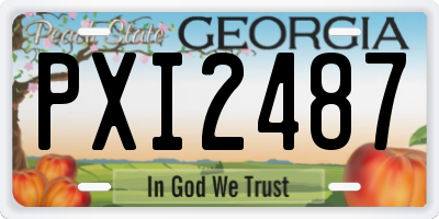 GA license plate PXI2487