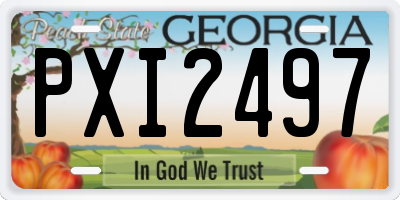 GA license plate PXI2497