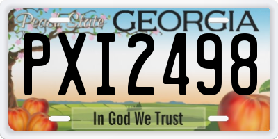GA license plate PXI2498