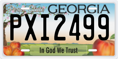 GA license plate PXI2499