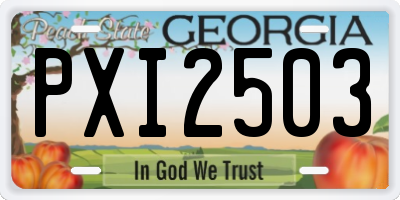 GA license plate PXI2503