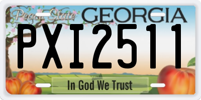 GA license plate PXI2511